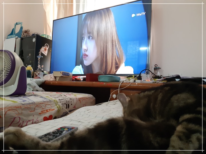 防疫在家靠什麼？就靠Panasonic TH-65JX900W Android TV吧！