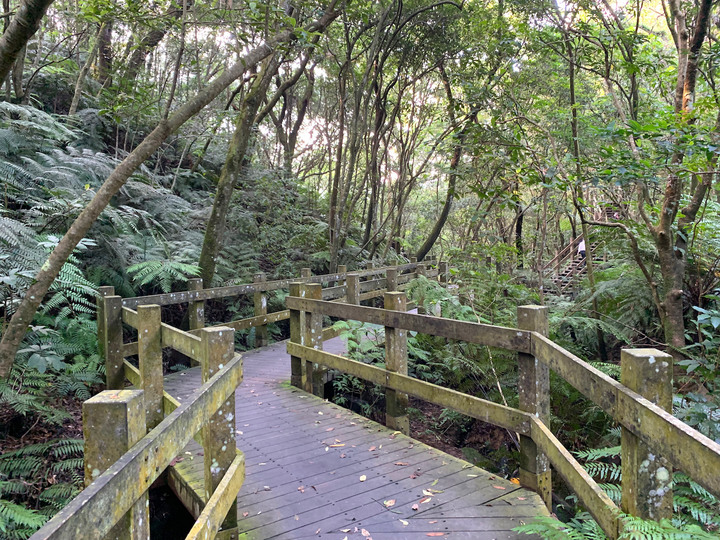 親子散策推薦路線 – 台北士林碧溪步道