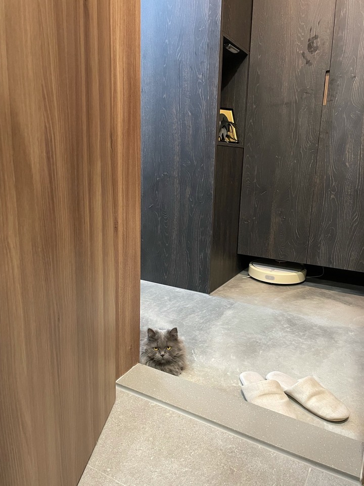 【開箱】就決定是你了!台北中古屋灰調貓宅