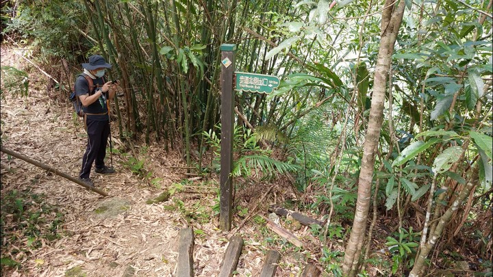 [樂山童盟] [新北坪林] 金瓜寮魚蕨步道