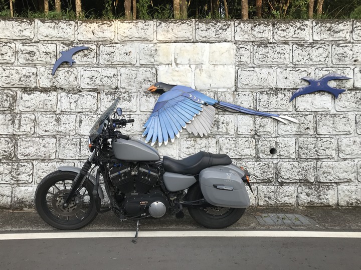 哈雷環島掉包記－－南北島山林小路與死亡的滋味