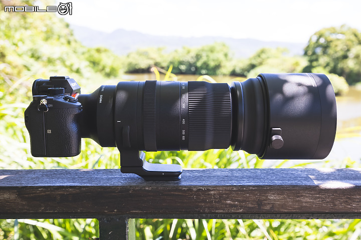 Sigma 150-600mm F5-6.3 DG DN OS Sports 評測報告｜E-Mount 超望遠的性價比首選！