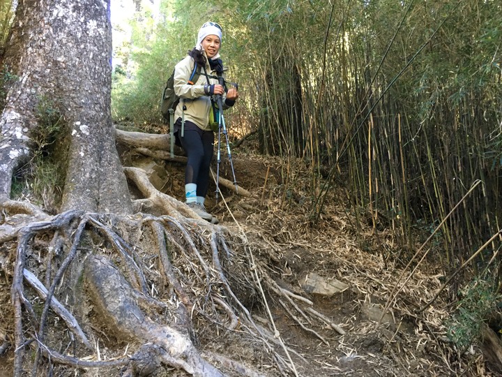 五座百岳一次走完--合歡群峰