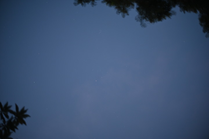 [Z6]北美館塩田千春展+2021森川里海濕地藝術季