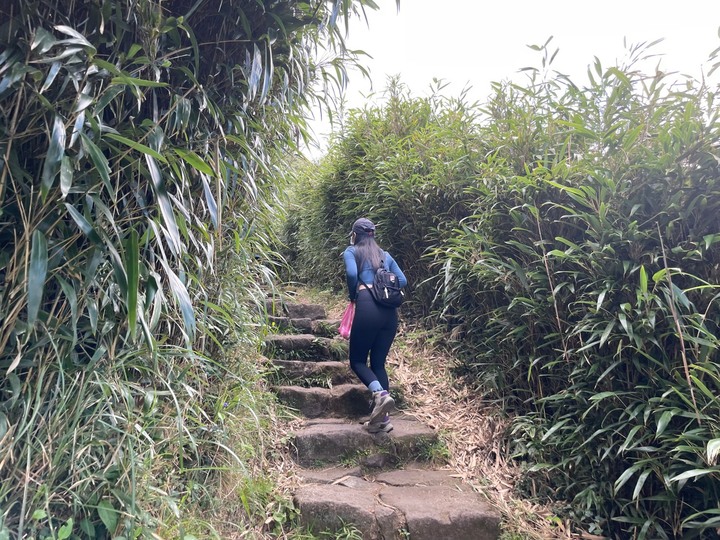 台北北投｜七星山．由小油坑起登，最快抵達台北最高峰