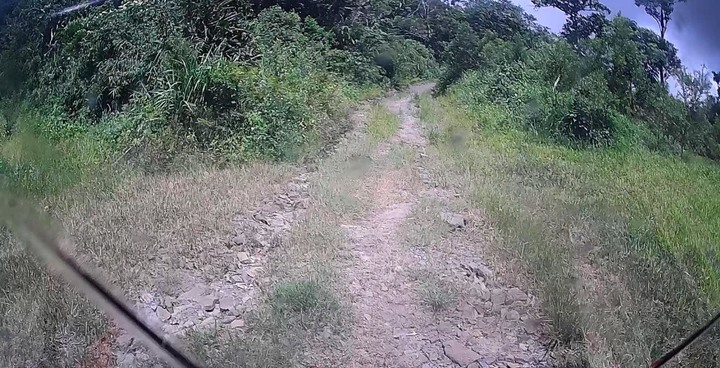 哈雷環島掉包記－－南北島山林小路與死亡的滋味