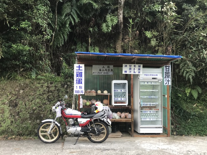 哈雷環島掉包記－－南北島山林小路與死亡的滋味
