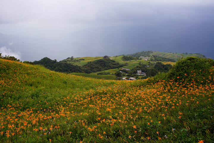 花蓮六十石山金針花之旅