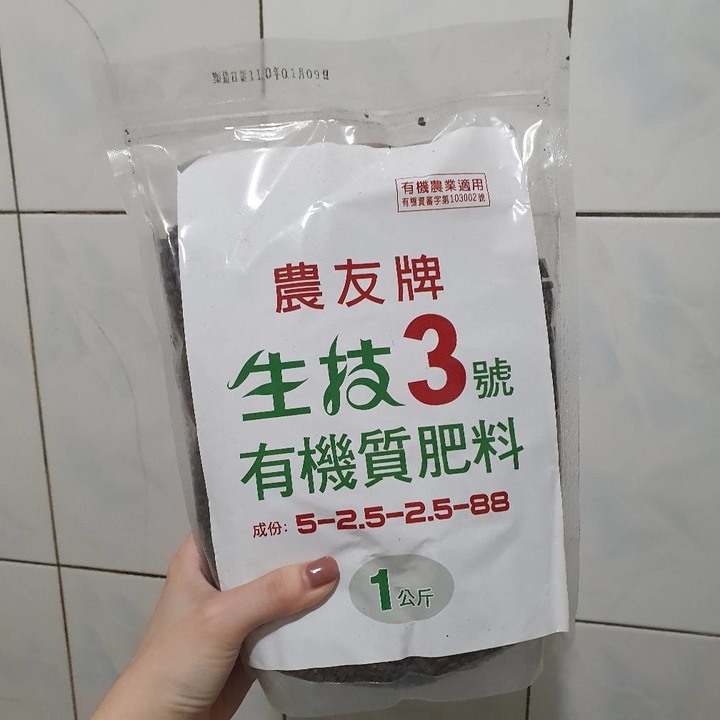 請問我的九層塔還有救嗎?