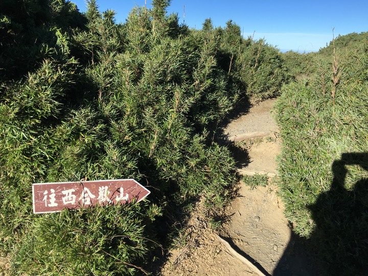 五座百岳一次走完--合歡群峰