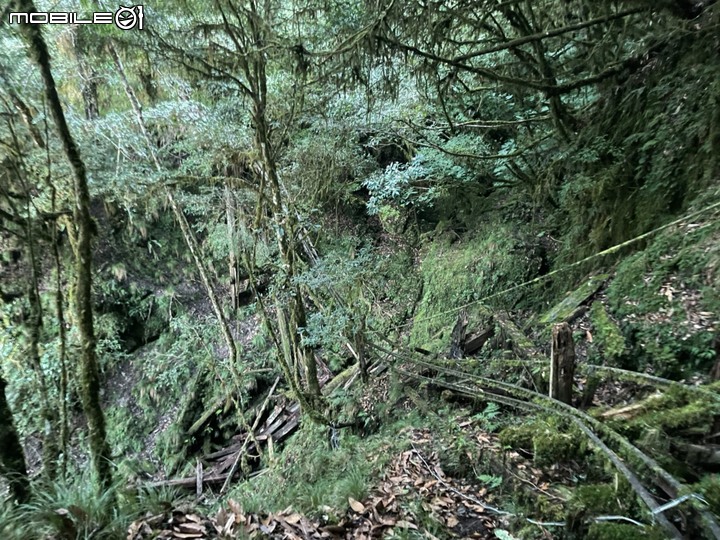 2021.903-907.奇萊東稜訪嵐山工作站出初音山5天4夜(健腳)
