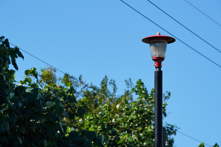 Sigma 150-600mm F5-6.3 DG DN OS Sport 評測報告|E-Mount 超望遠的性價比首選!