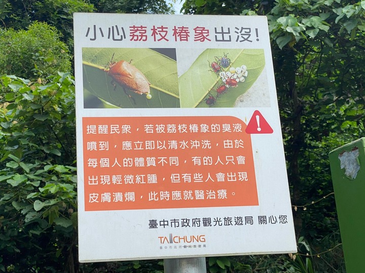 台中潭子｜聚興山．沿著蜿蜒而上的木階，登高望遠觀鷹賞花，健走享受茂密樹林