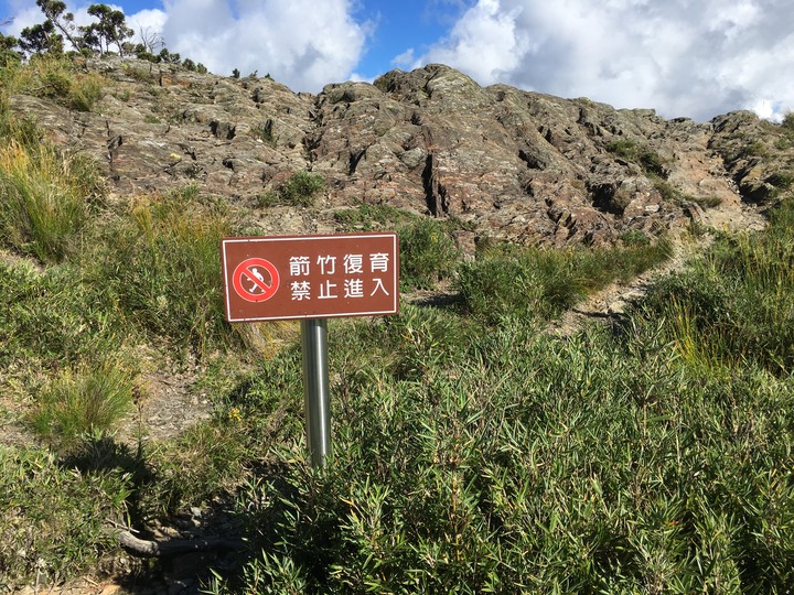 五座百岳一次走完--合歡群峰