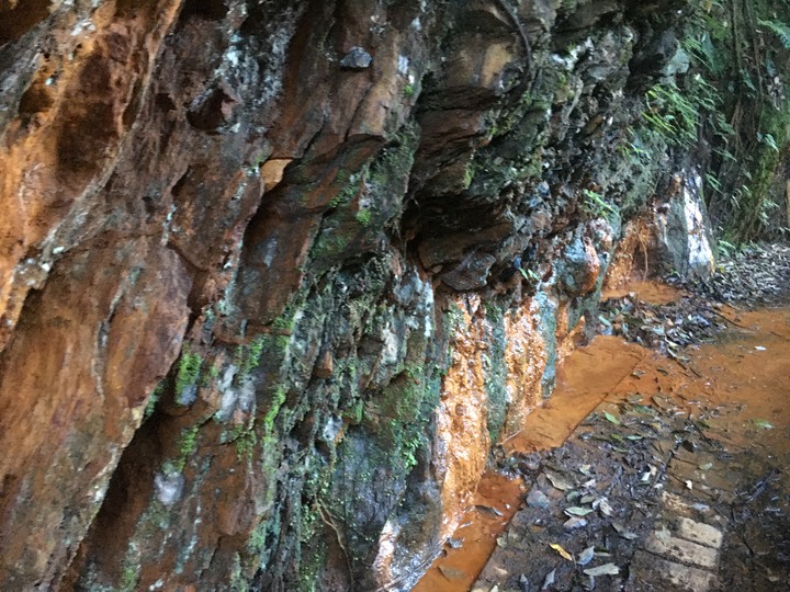 五座百岳一次走完--合歡群峰