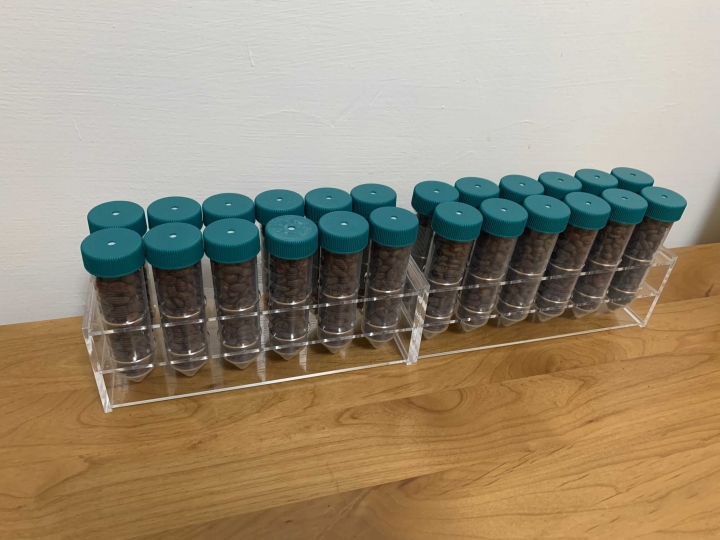 儲存咖啡豆的方法