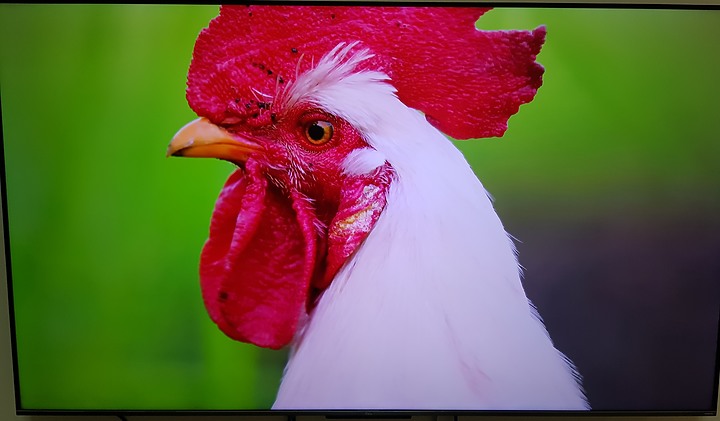 [簡單開箱] 高CP值! TCL 75吋QLED電視 75C725
