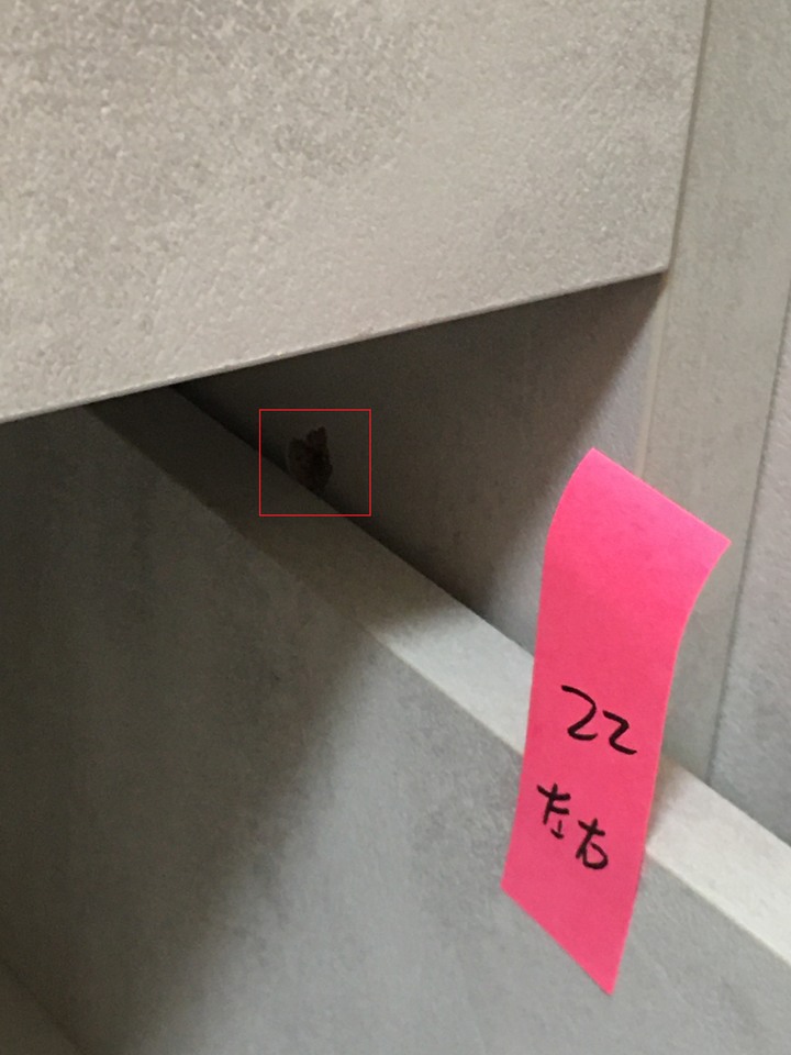 自己統包不專業開箱