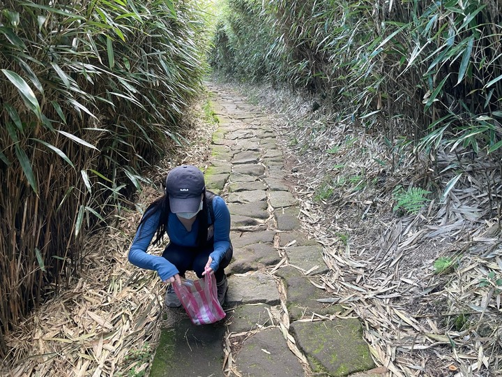 台北北投｜七星山．由小油坑起登，最快抵達台北最高峰