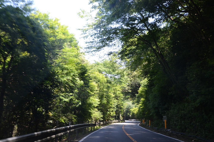 2019紀伊半島自駕遊-世界遺產巡禮4/4(本州最南端、潮岬、熊野古道、那智瀑布、日本第一大鳥居、伊勢神宮、夫妻岩)