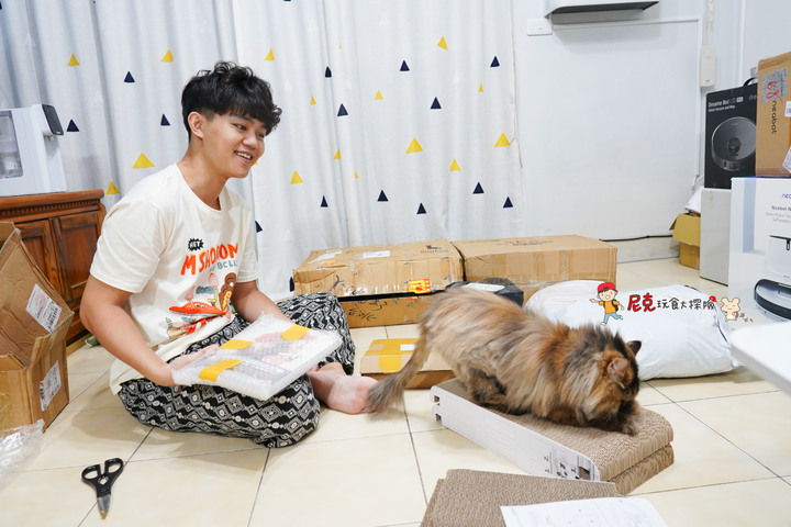 在淘寶買各種貓咪用品開箱,貓跳台、外出包、貓砂盆、貓貓玩具~好買到停不下來