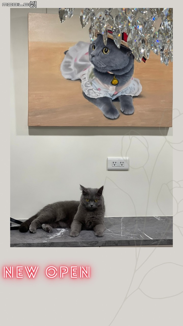 ★圓圓貓新屋開箱★ 藝術家構圖的歐式典雅現代風 ,魔術手筆下視覺魔法的小豪宅【台中首購】
