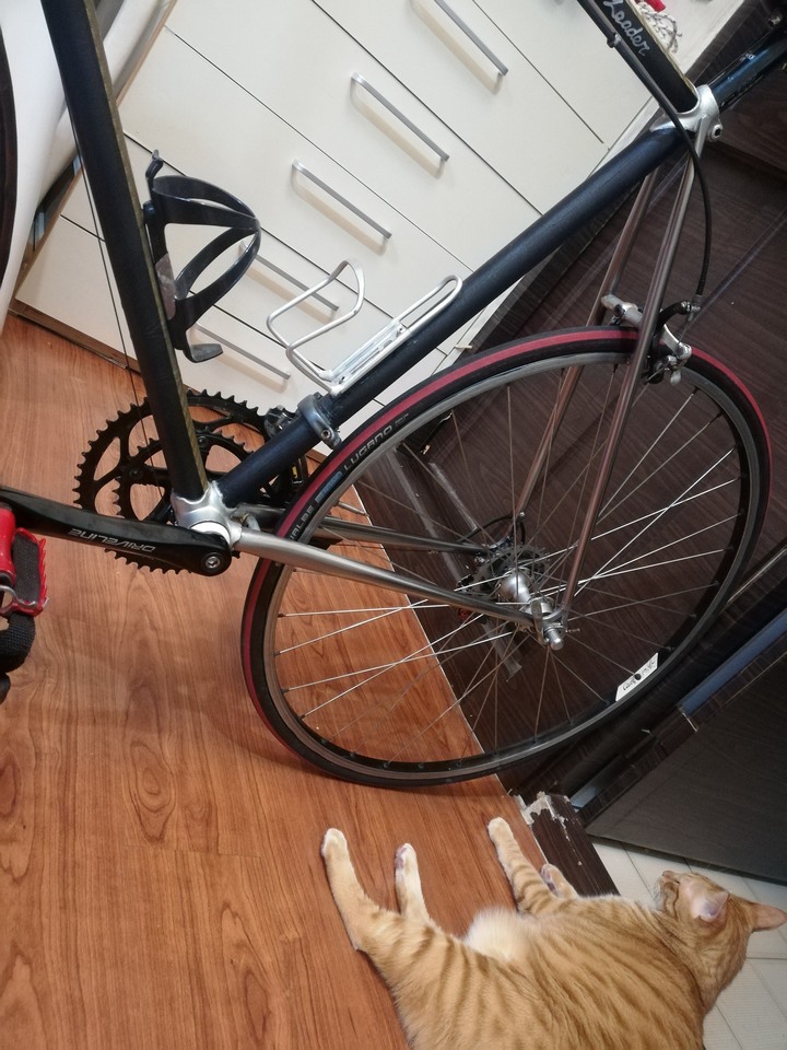 DIY鋼管車再進化