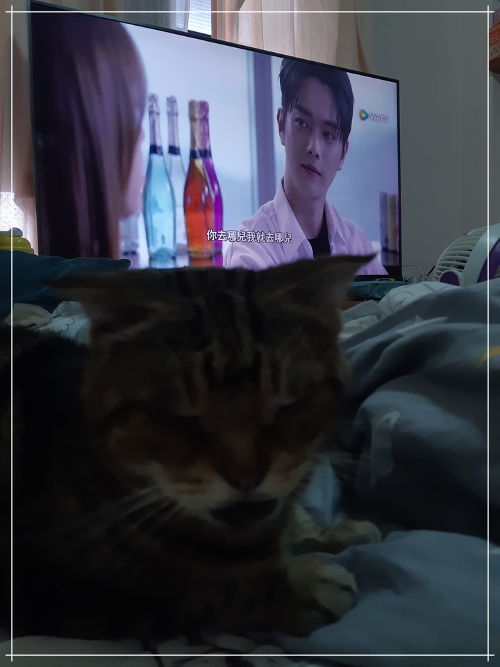 防疫在家靠什麼？就靠Panasonic TH-65JX900W Android TV吧！