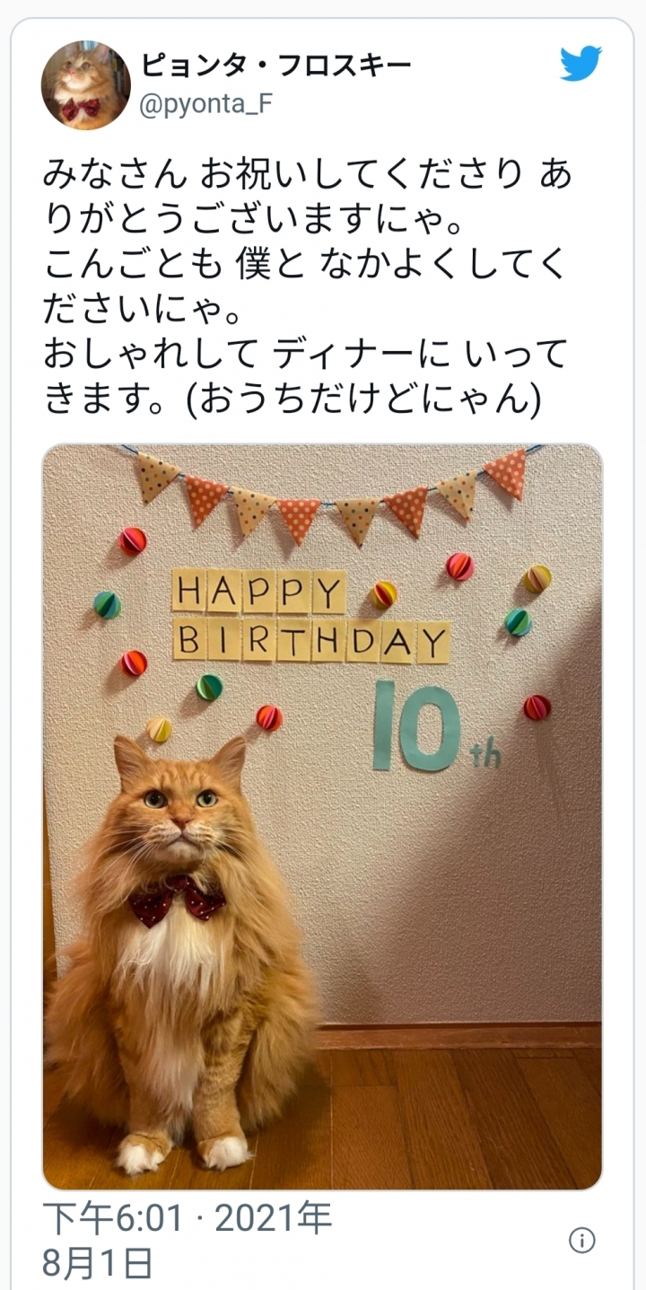 日本連野貓都洗基因