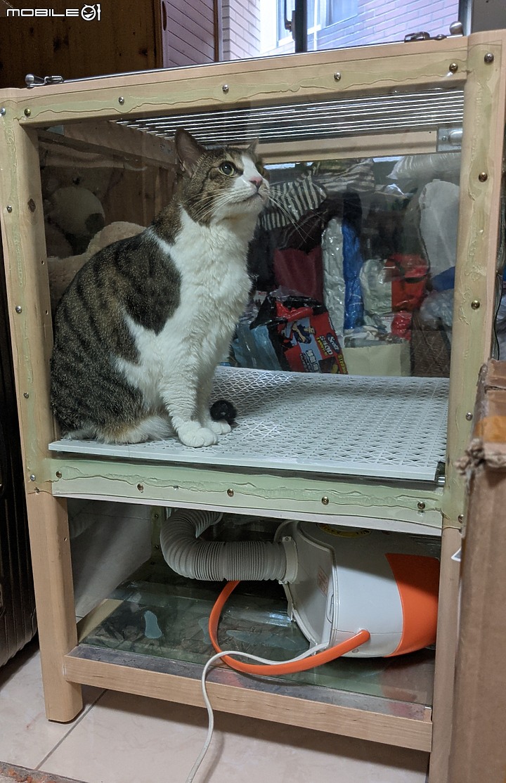 敏感貓烘乾機