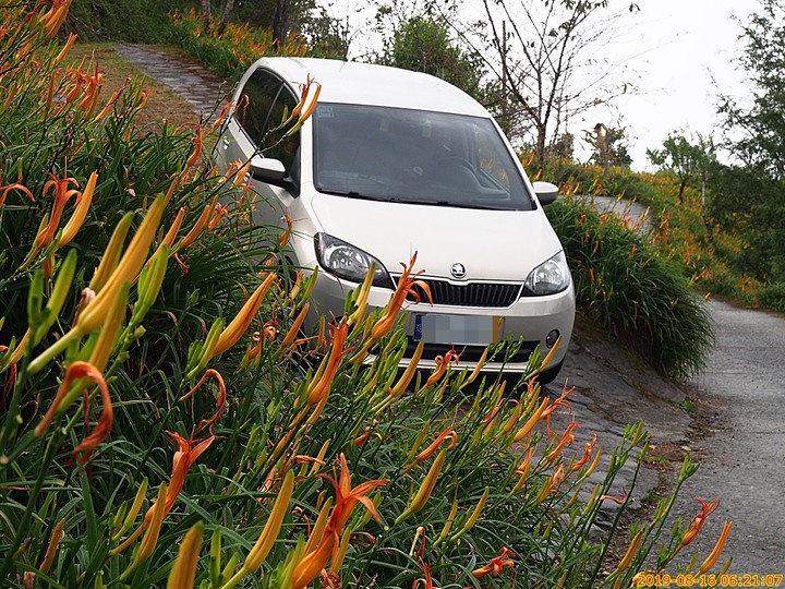 Škoda CITIGO 關箱,感謝它7年又10個月的陪伴,不需煩惱修車的美好時光