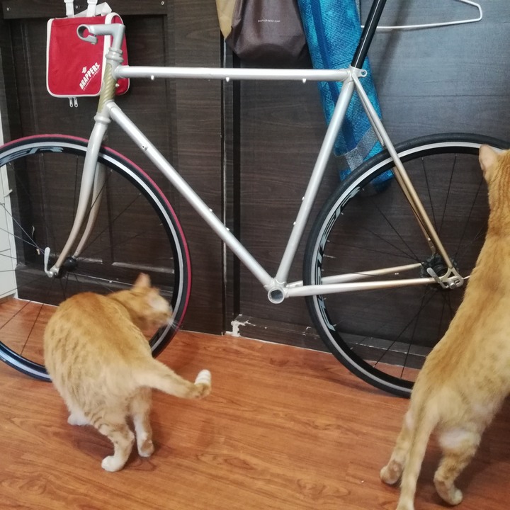 DIY鋼管車再進化