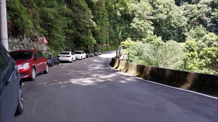 [樂山童盟] [新北坪林] 金瓜寮魚蕨步道