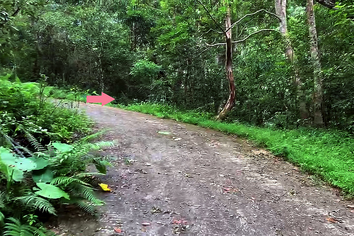 新竹尖石｜水田林道｜壯闊飛瀑秘境．鴛鴦谷瀑布群