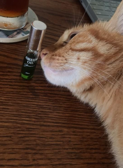 好久不見的祖孫互動