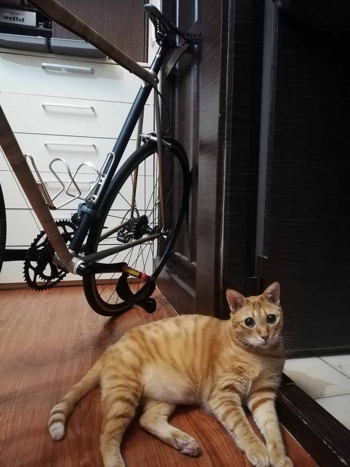 DIY鋼管車再進化