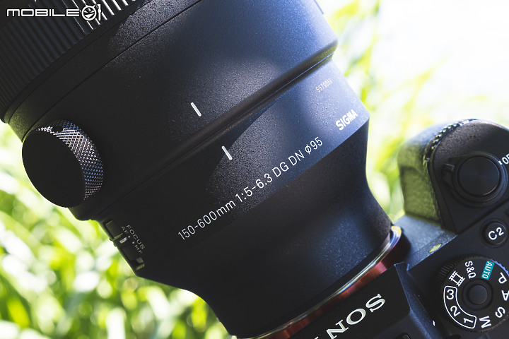 Sigma 150-600mm F5-6.3 DG DN OS Sports 評測報告｜E-Mount 超望遠的性價比首選！