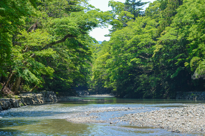 2019紀伊半島自駕遊-世界遺產巡禮4/4(本州最南端、潮岬、熊野古道、那智瀑布、日本第一大鳥居、伊勢神宮、夫妻岩)