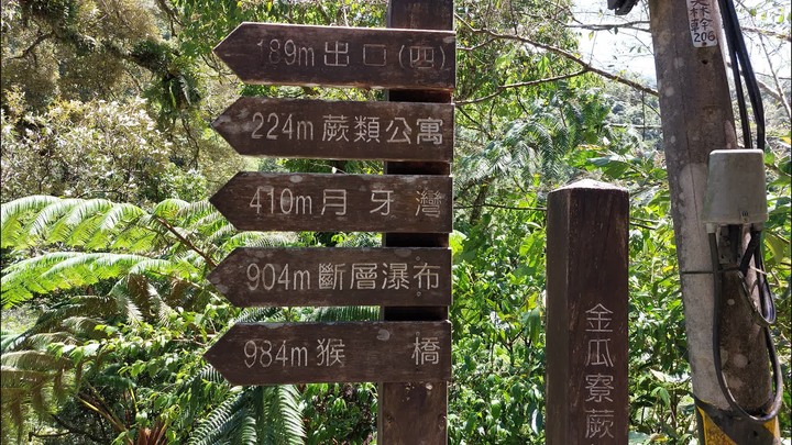 [樂山童盟] [新北坪林] 金瓜寮魚蕨步道