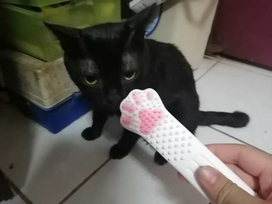 小黑貓收編開箱分享