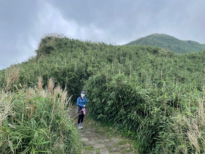 台北北投｜七星山．由小油坑起登，最快抵達台北最高峰
