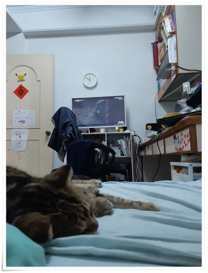 防疫在家靠什麼？就靠Panasonic TH-65JX900W Android TV吧！