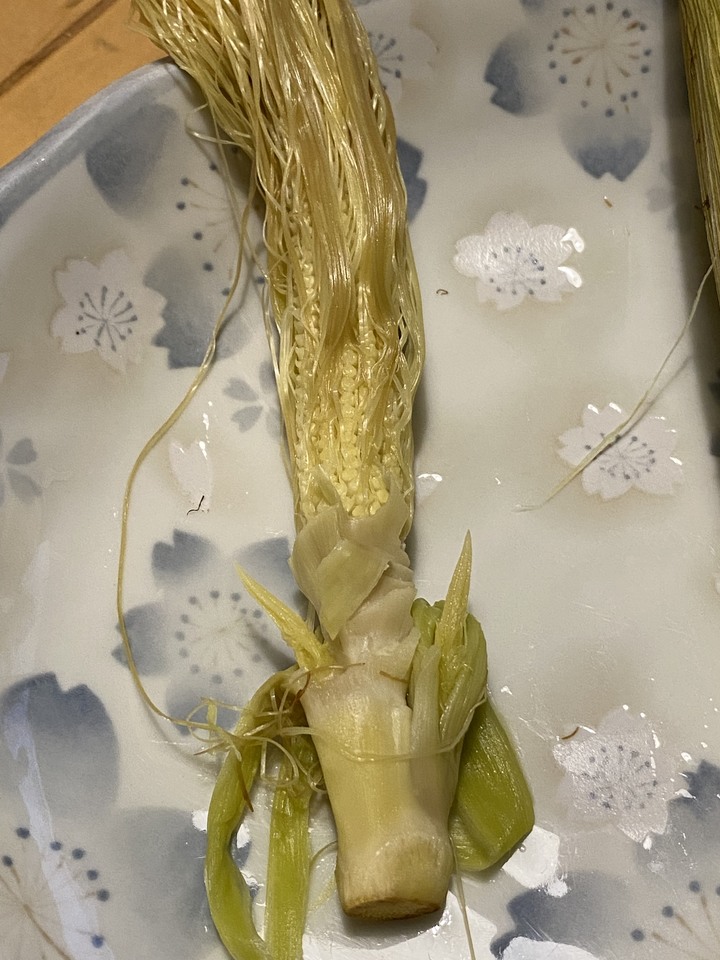 是新品種的玉米筍嗎？
