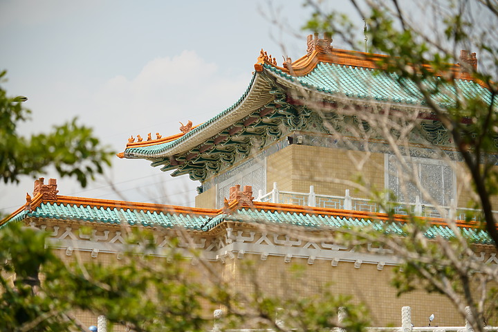 Sigma 150-600mm F5-6.3 DG DN OS Sport 評測報告|E-Mount 超望遠的性價比首選!