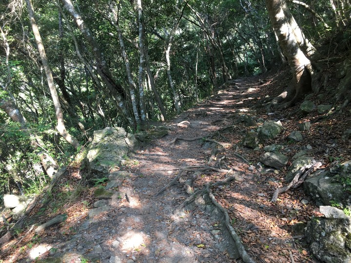 太魯閣健行一日遊,挑戰101高度的錐麓古道