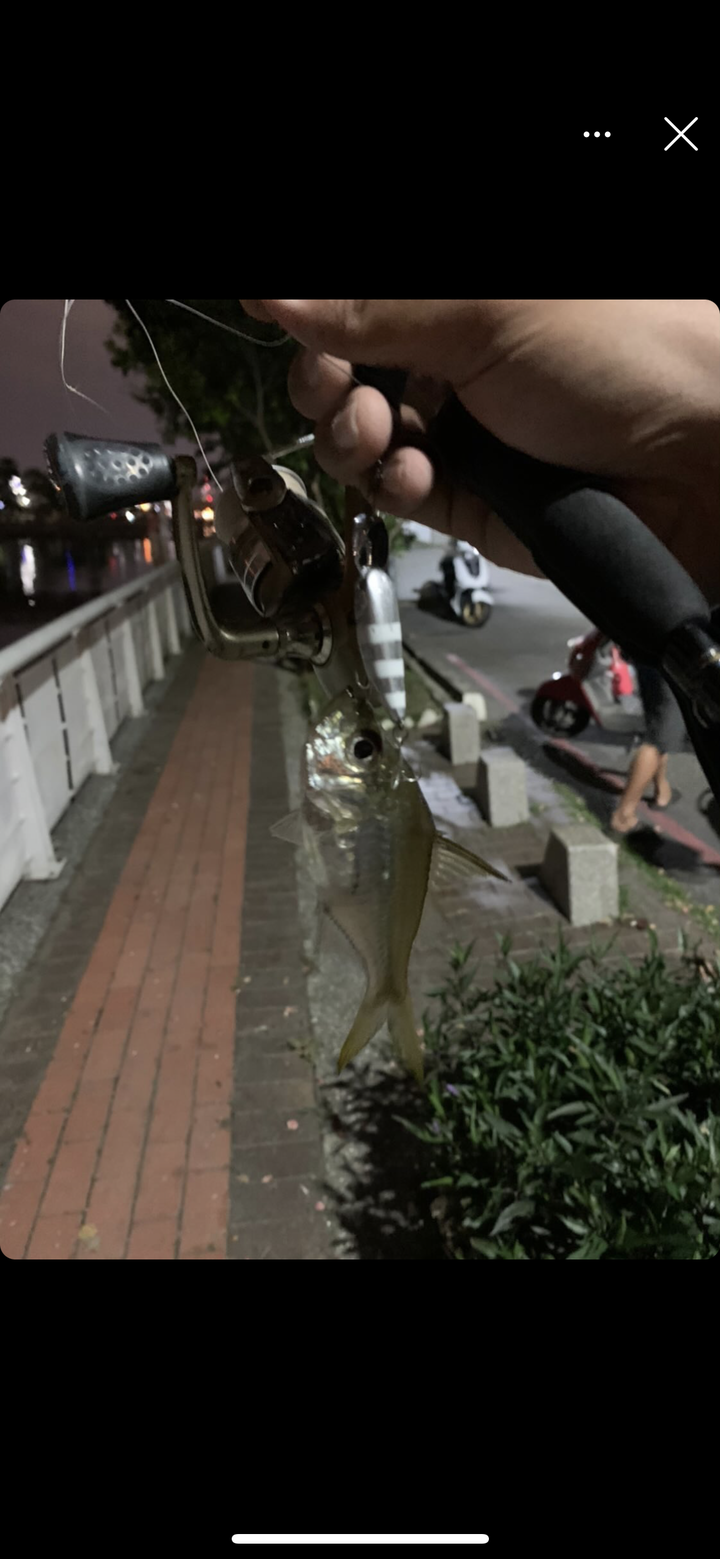 魚種詢問