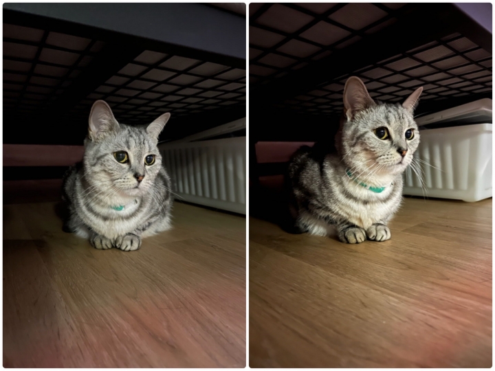 兩代旗艦對決！iPhone 13 Pro 對決 12 Pro Max，這樣拍照算是有感升級嗎？