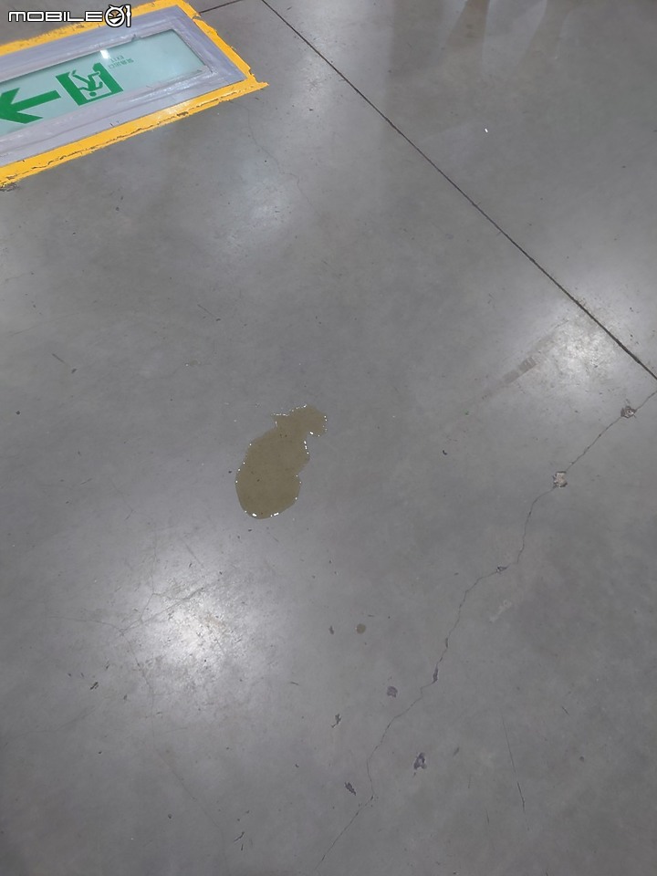 寵物展第一手資訊