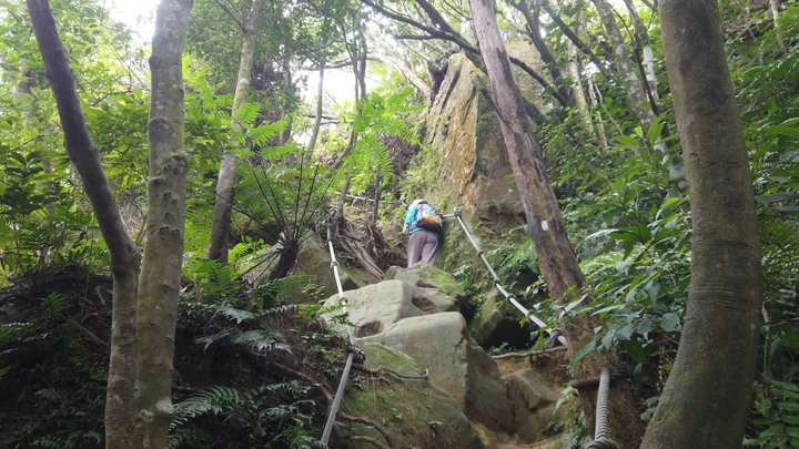 [樂山童盟] [台北文山] 岐山古道-猴山岳前峯-猴山岳