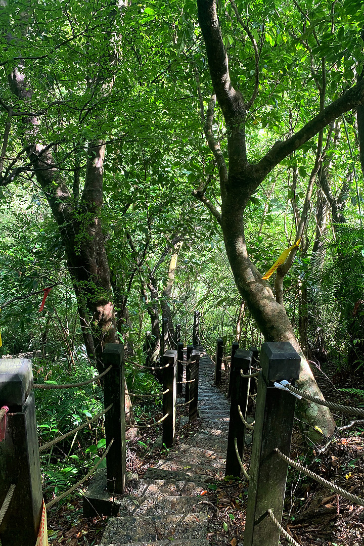 新北平溪|嶺腳寮登山步道|拜訪孤獨車站.親近仙氣滿載的望古瀑布